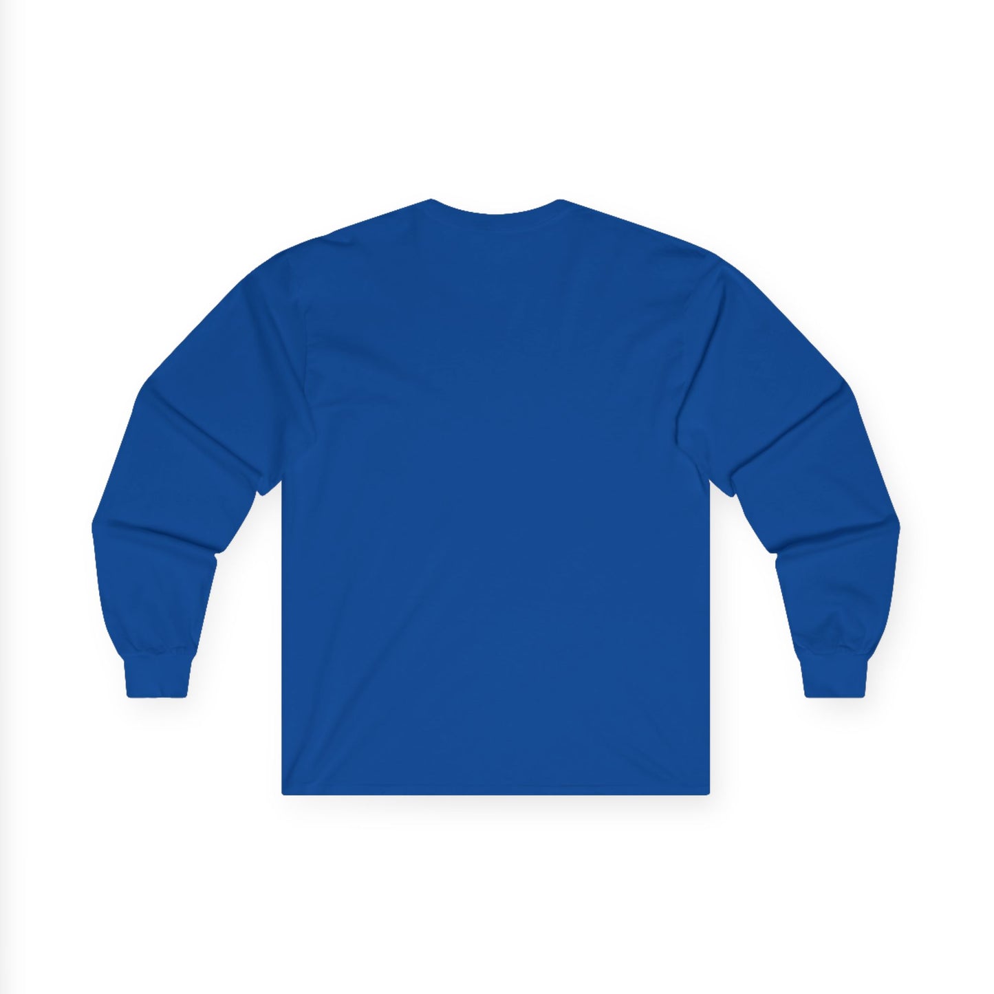 Patriotic Long Sleeve T-Shirt, Freedom of Religion, Political Statement Tee, Unisex Equality Shirt, Constitutional Rights Gift